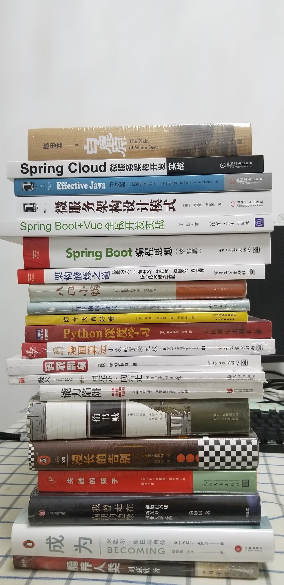 非常满意的一次购物，又充实了一个书架，书的运输还算不错，没有什么大的问题。我为什么喜欢在买东西，因为今天买明天就可以送到。