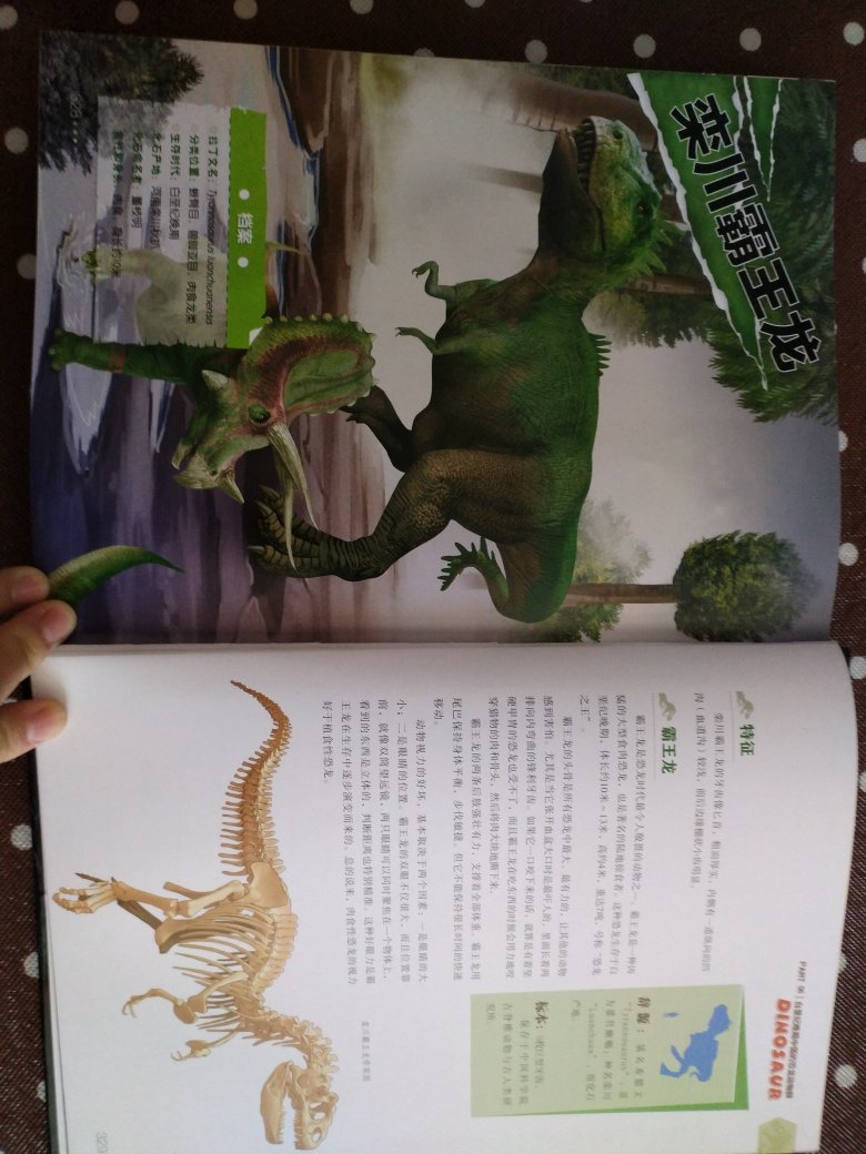 儿子超级喜欢恐龙，到货一拆开就被他看见，硬要自己先看，印刷很精美，纸质也非常好，介绍了大概近两百种恐龙，主要特征，生存习性，应该适合六岁以上儿童亲子共读，作为爱好恐龙的儿童科普拓展，不错！