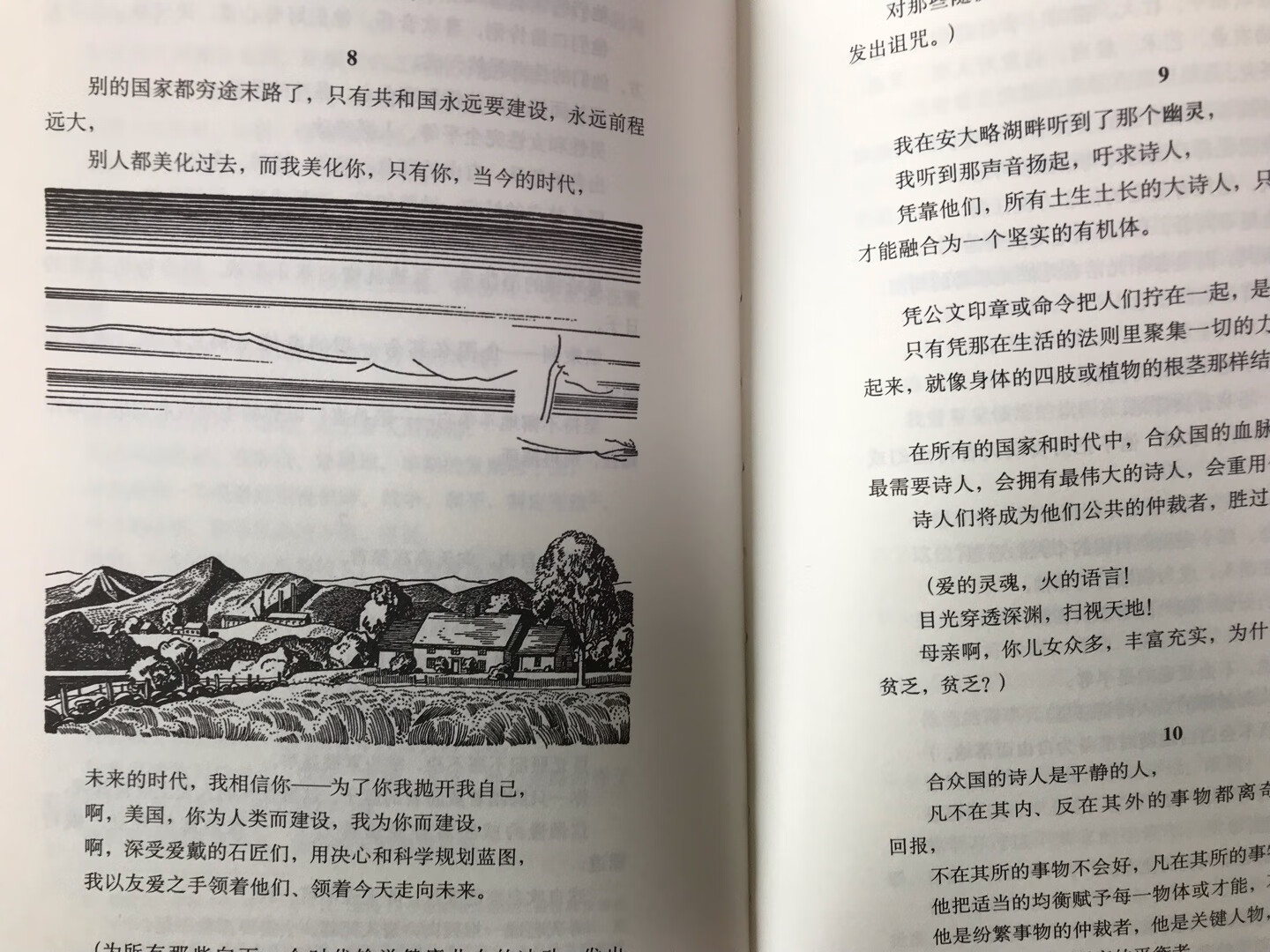 从没有奢望中译本《草叶集》会出现这样一个经典的版本，感谢上海译文出版社的策划和编辑，让中文版本的世界文学名著有了令人垂青的版本！