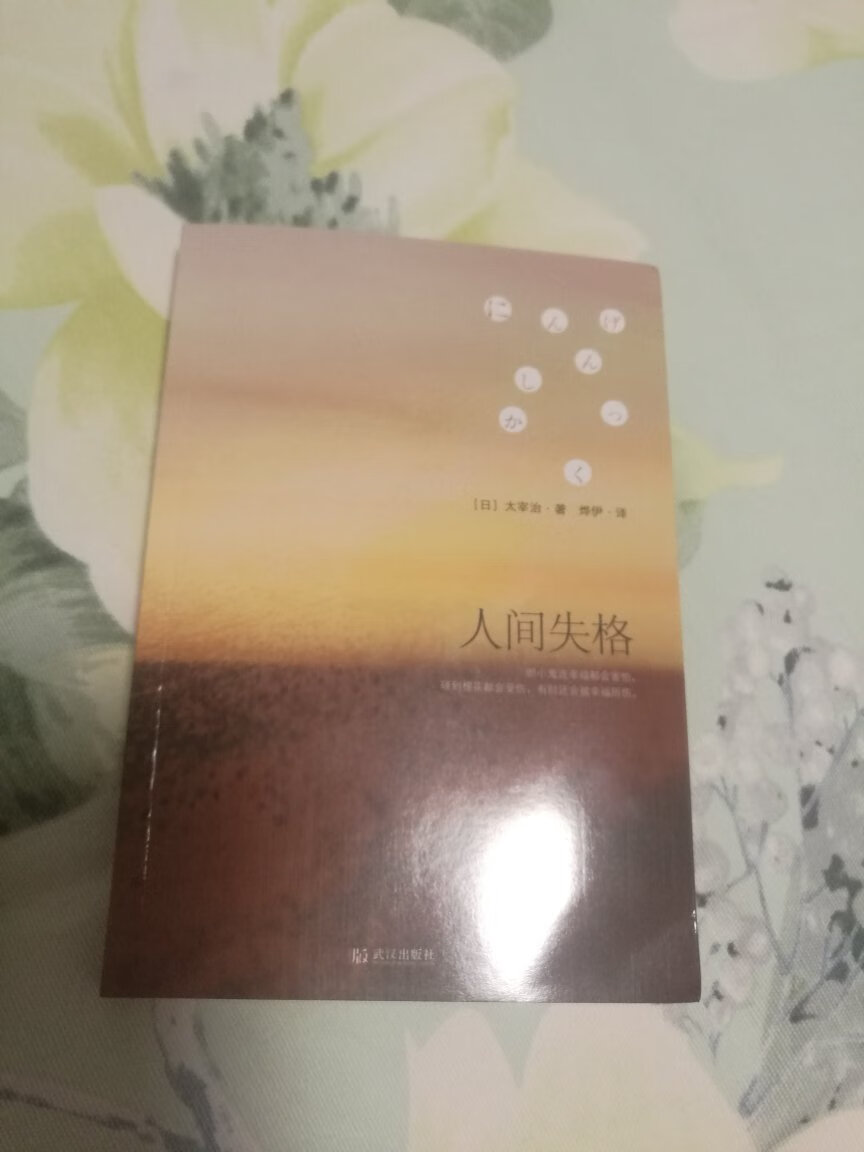 孩子要求买的，说是正版