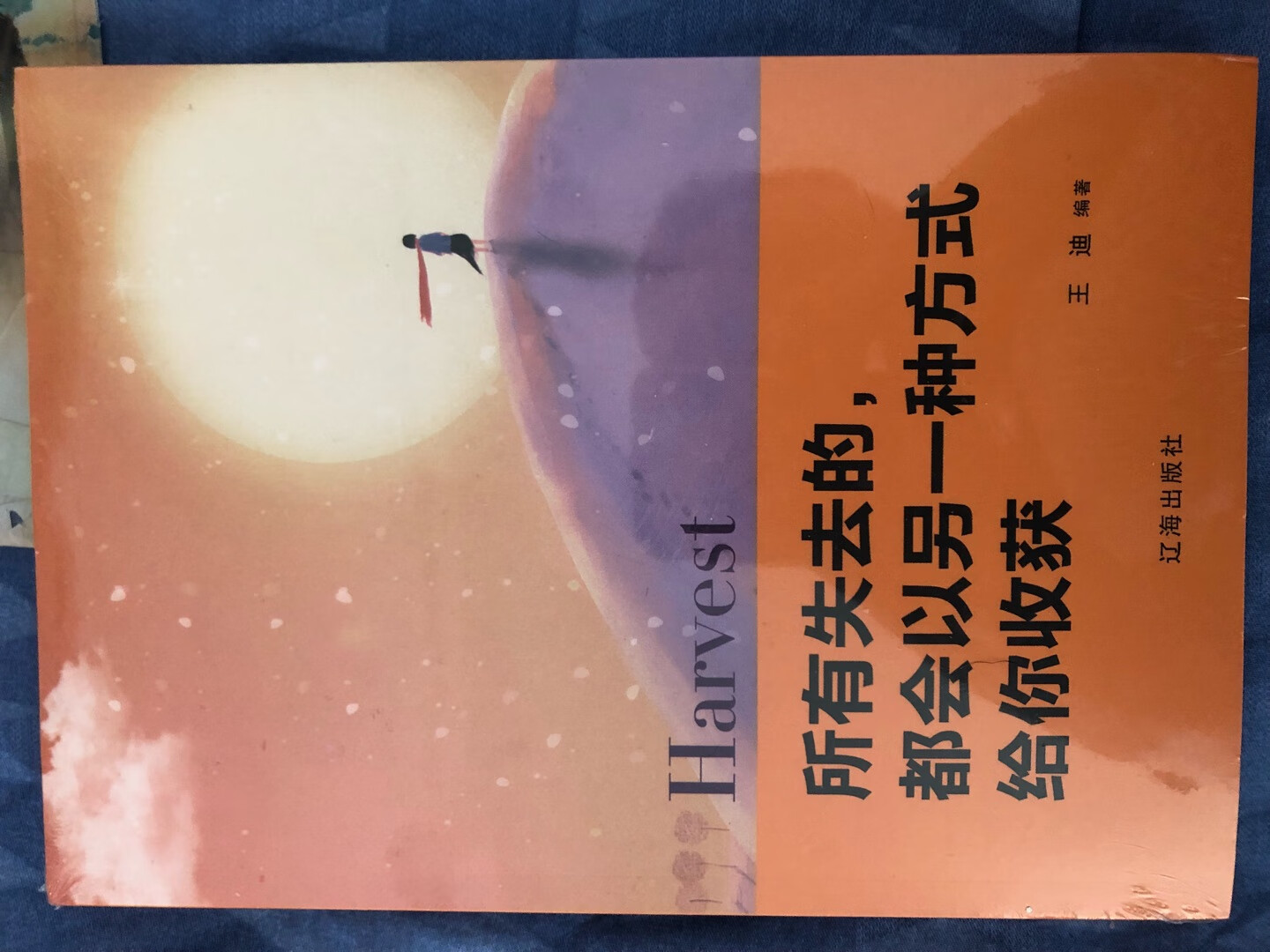 哈哈哈，活动很给力，这么多书才600元。两套不同版本四大名著。还有其它的书。很棒啊。