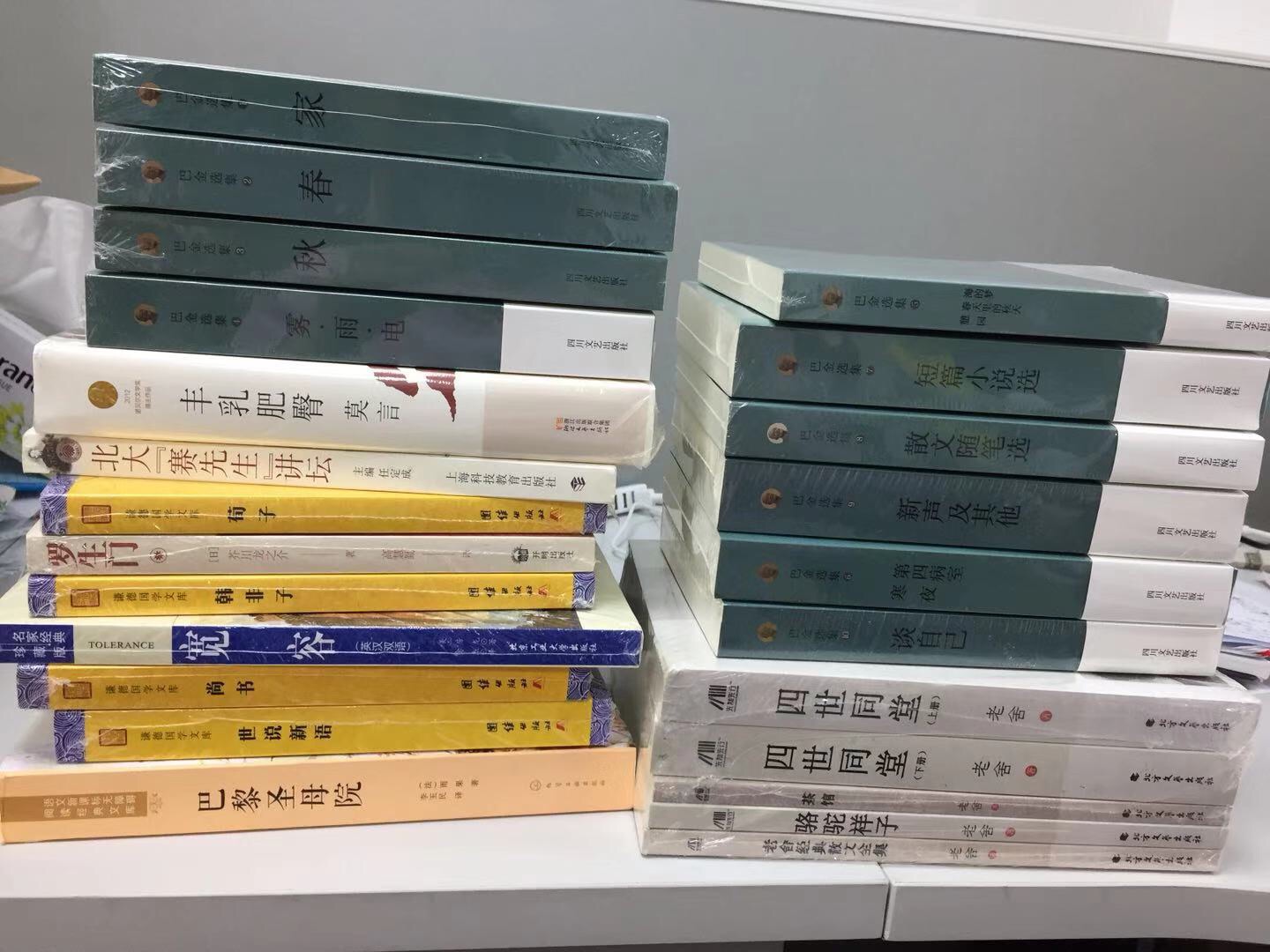 巴黎圣母院。早就想买了，这回终于全部都买回来了，可以看很久一段时间了。