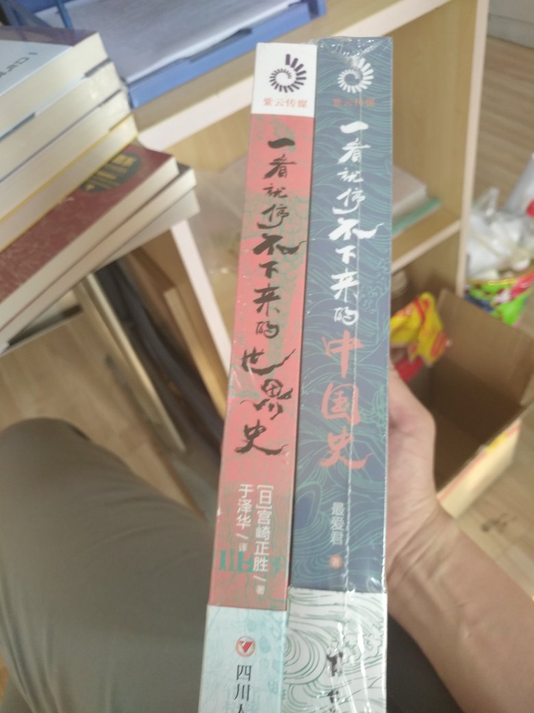 在这本书中，世界史大致分为6个部分，1人类文明形成的时代，2欧亚文明的一体化，3大航海时代，4美洲近现代史历史，5欧洲近现代史，6全球化时代，这6个部分大致形成当下新型历史观的轮廓。中国史就是中国的历史