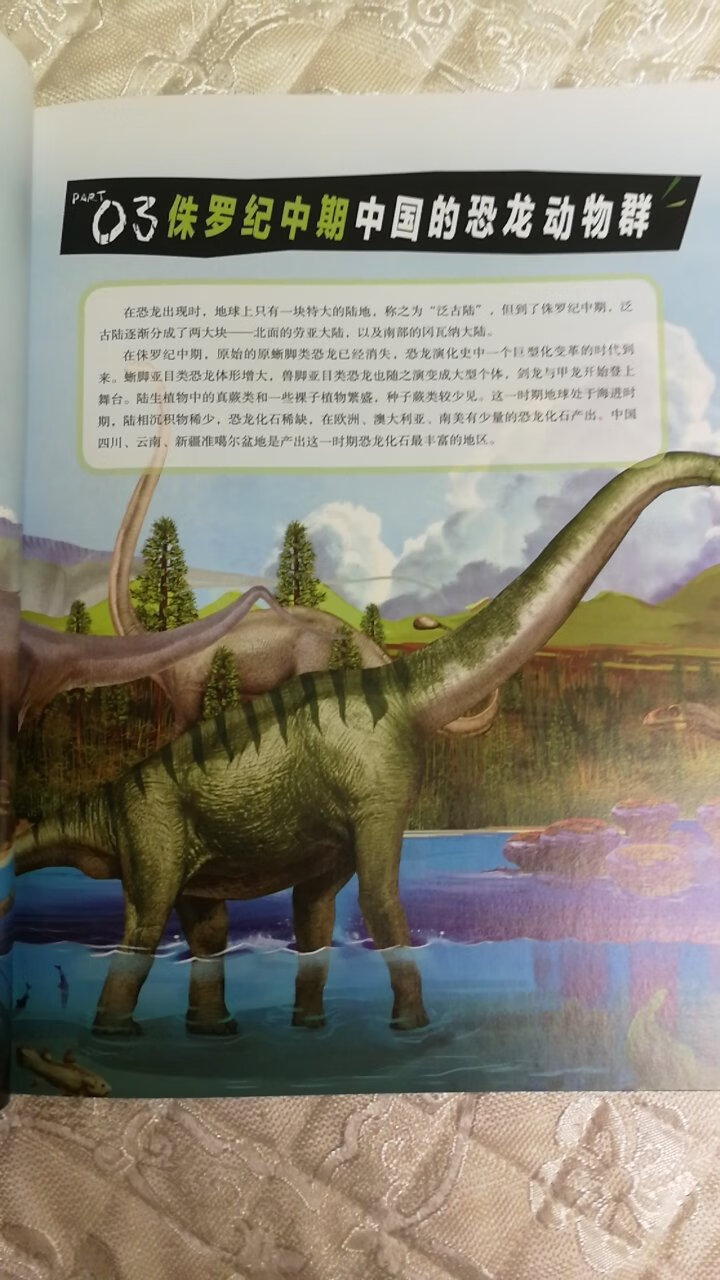 这本恐龙百科全书真的是太喜欢了，很厚很大一本，纸张印刷都特别好，儿子特别喜欢，立马看起来，各种恐龙的知识，知道不知道的，关于恐龙的都可以在这里找到答案，其他恐龙书大概是不用买了，儿子看完，闺女可以接着看，超值！快递小哥也不错，给送到家！