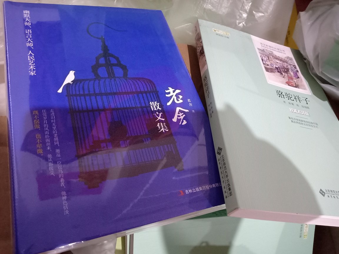 应该是正版，塑封密实，好评