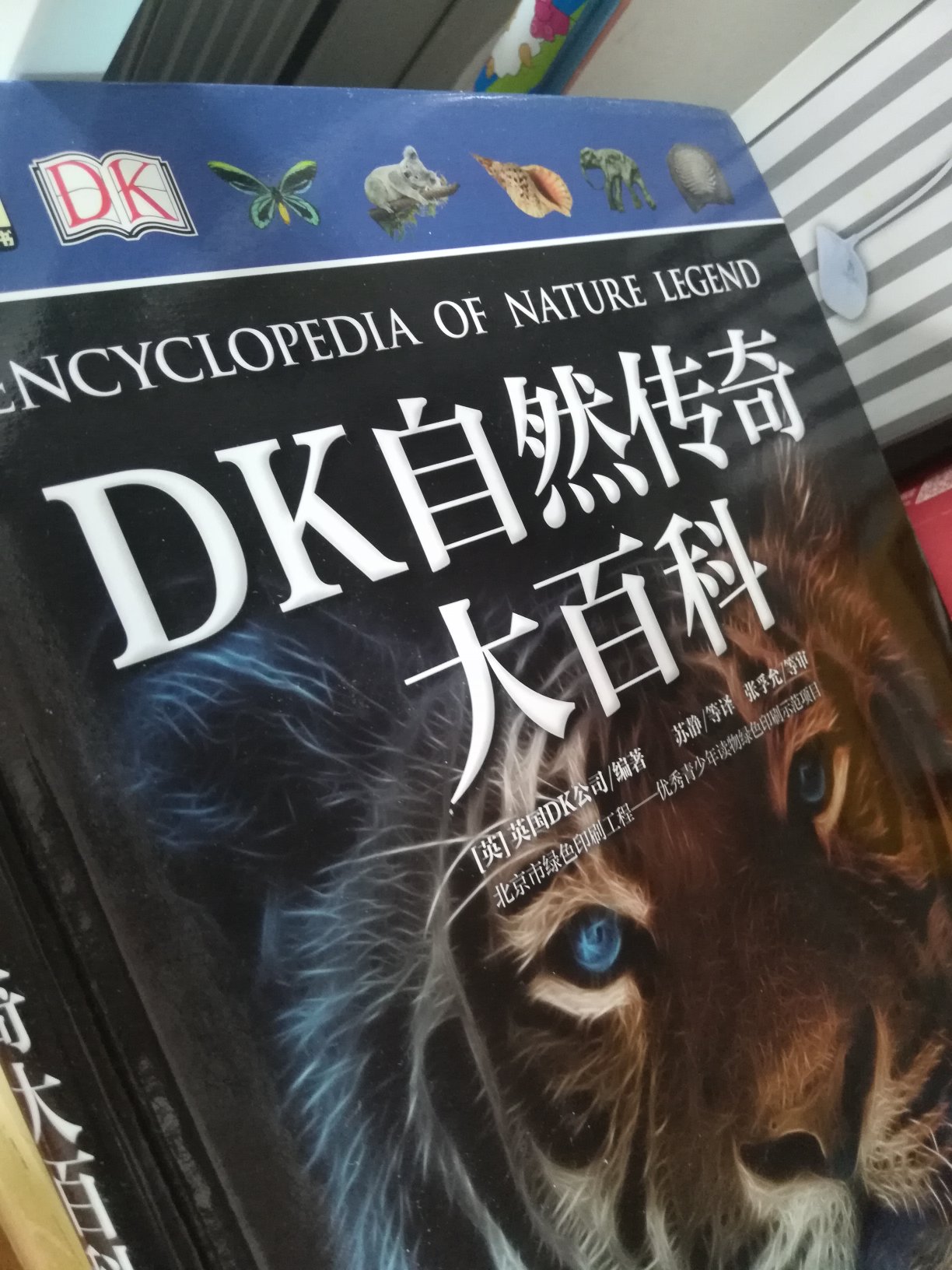 最近买了好多DK的书，经典，精美，知识全面，解读详尽。包罗万象啊。