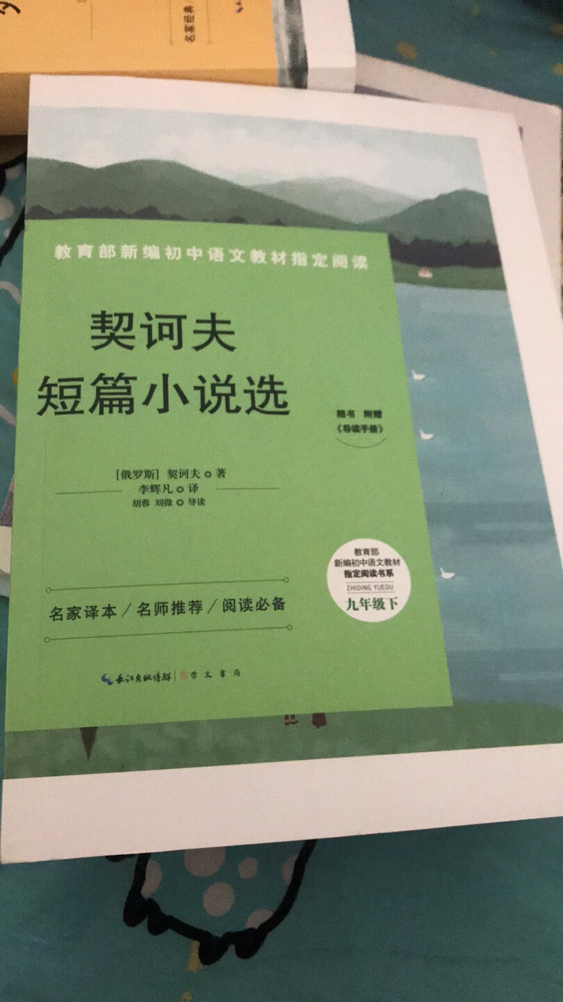 买给8年级下学期儿子的，老师推荐必读书，崇文书局的书质量很不错，非常满意。