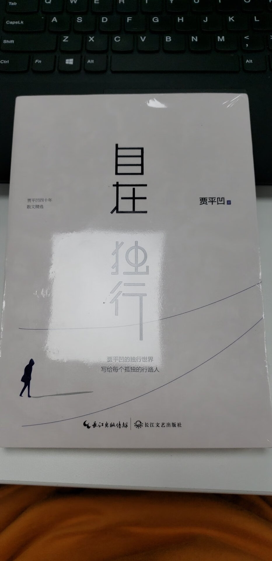 盗不盗版不清楚，感觉还可以的……，还没拆……