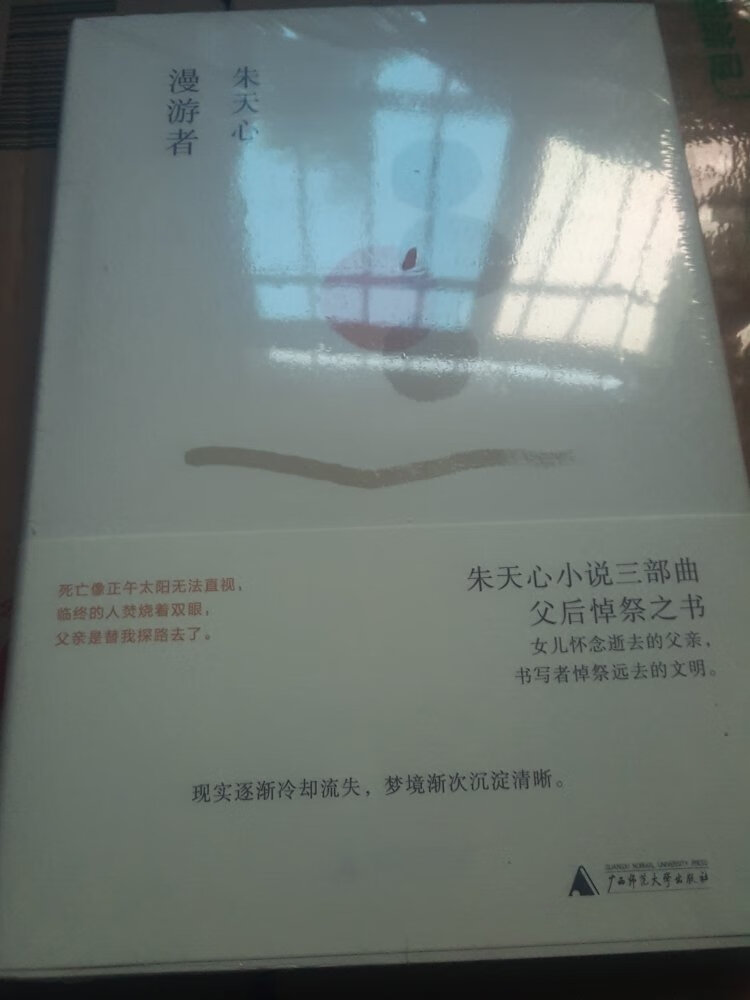 一直都很喜欢，朱天心的文笔，台湾这一代作家的作品很值得一读。