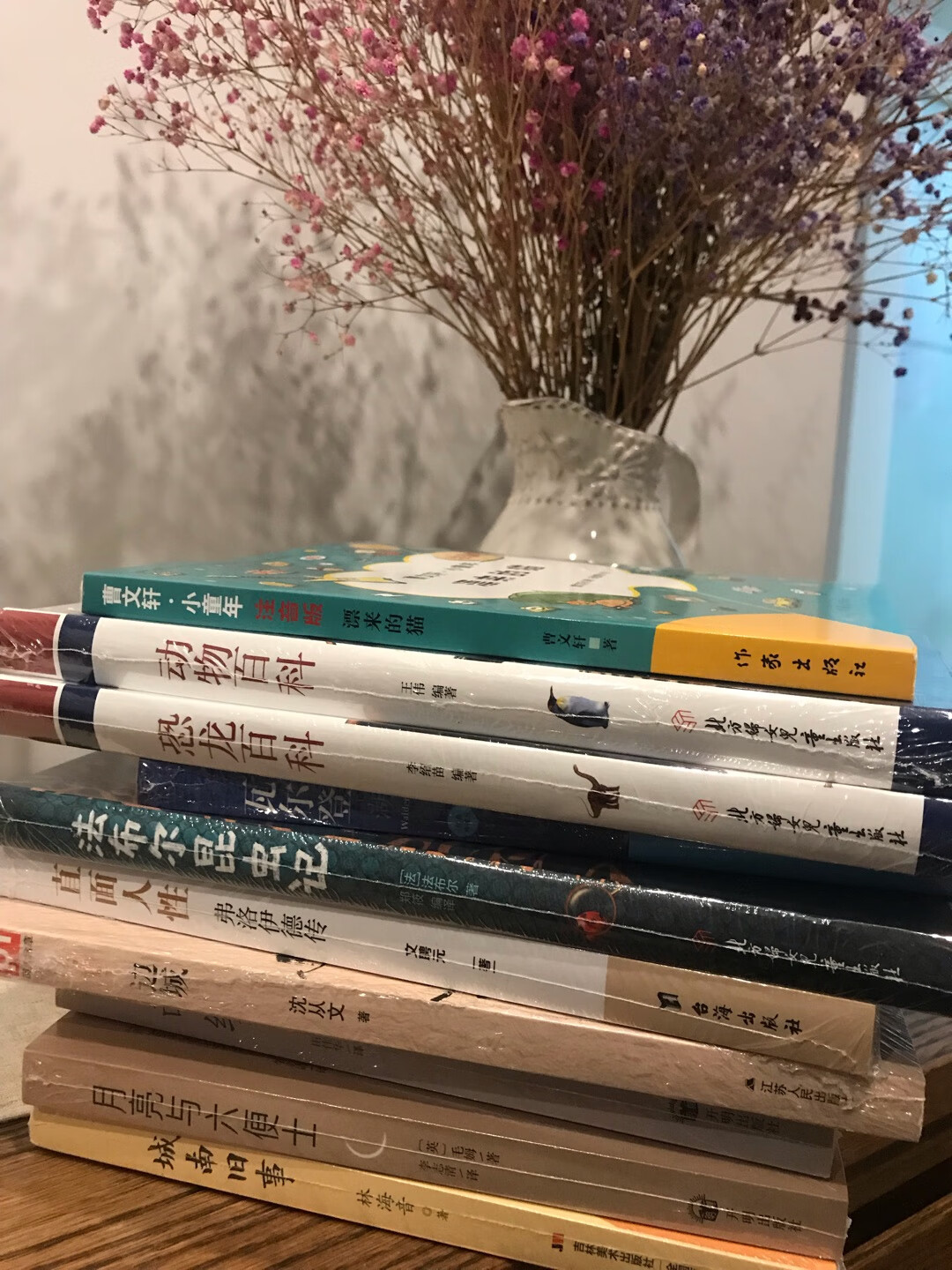 很好的小说，挺不错的，99元10本划算