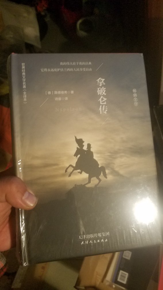 打成拿破仑，算是欧洲的一个顶级委员，应该说和希特勒齐名，但比希特勒要证