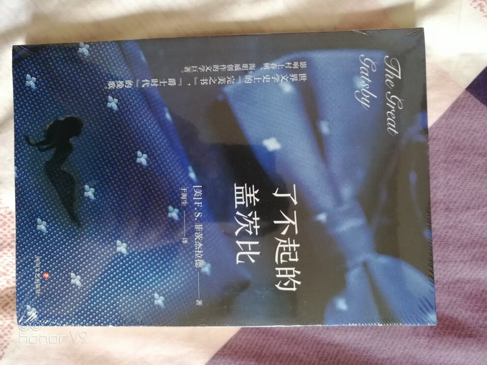 世界文学史上的“完美之书”，影响村上春树，海明威创造的文学巨著。我静下心来，细细品读。