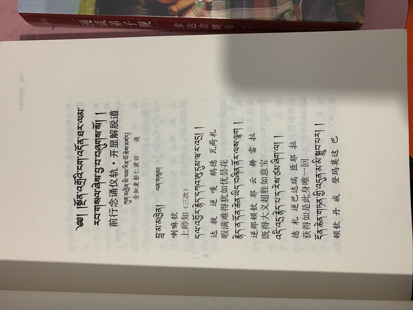 打开了，很厚的一本，372页，还没看呢，之前的那本书还没看完，还不知道能不能看得懂