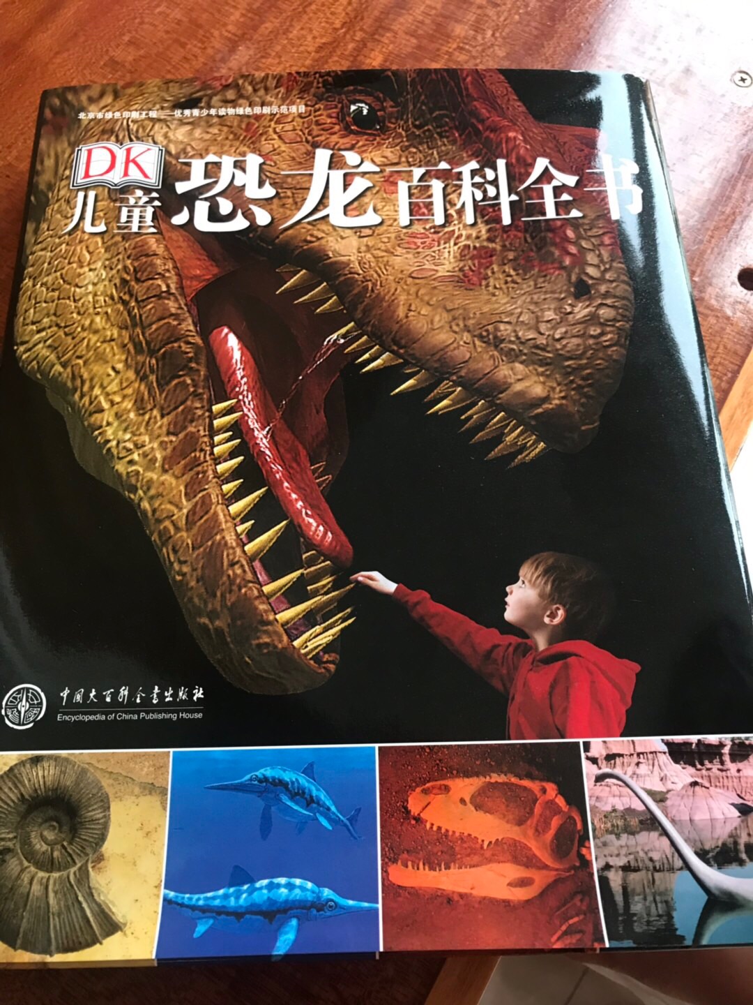 内容很丰富的一本书，图片多，内容细致，我家小朋友很喜欢恐龙，家里特地买了恐龙化石供她挖掘，配合书本讲解，效果很好。因为孩子总是充满想象力的，而恐龙是曾经存在过又彻底灭绝的超出想象的巨大生物，谁也没见过真的活着的恐龙。这两大特点会让孩子非常着迷，恐龙之于孩子，就像广袤的星空之于人类，有着无边的想象空间。