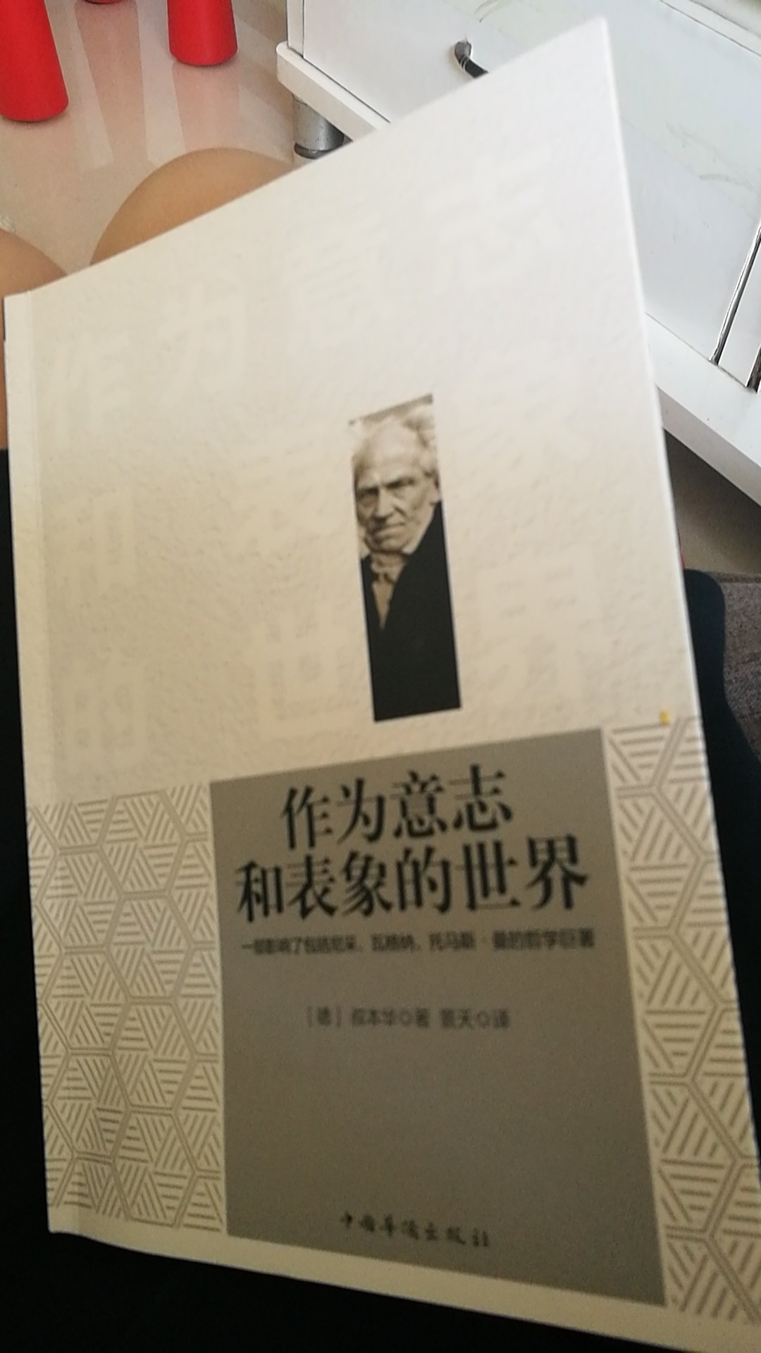 这本书总体来说很深奥，嗯，属于论文性质 ，看起来很艰涩。对于普通读者而言，很难读进去。很仔细的把序看完了，也就只有序写的平易近人，已经两周了，第1章还没有读完。如果不是对哲学非常感兴趣，或者是哲学专业的学生，不太推荐，普通读者阅读这本书。