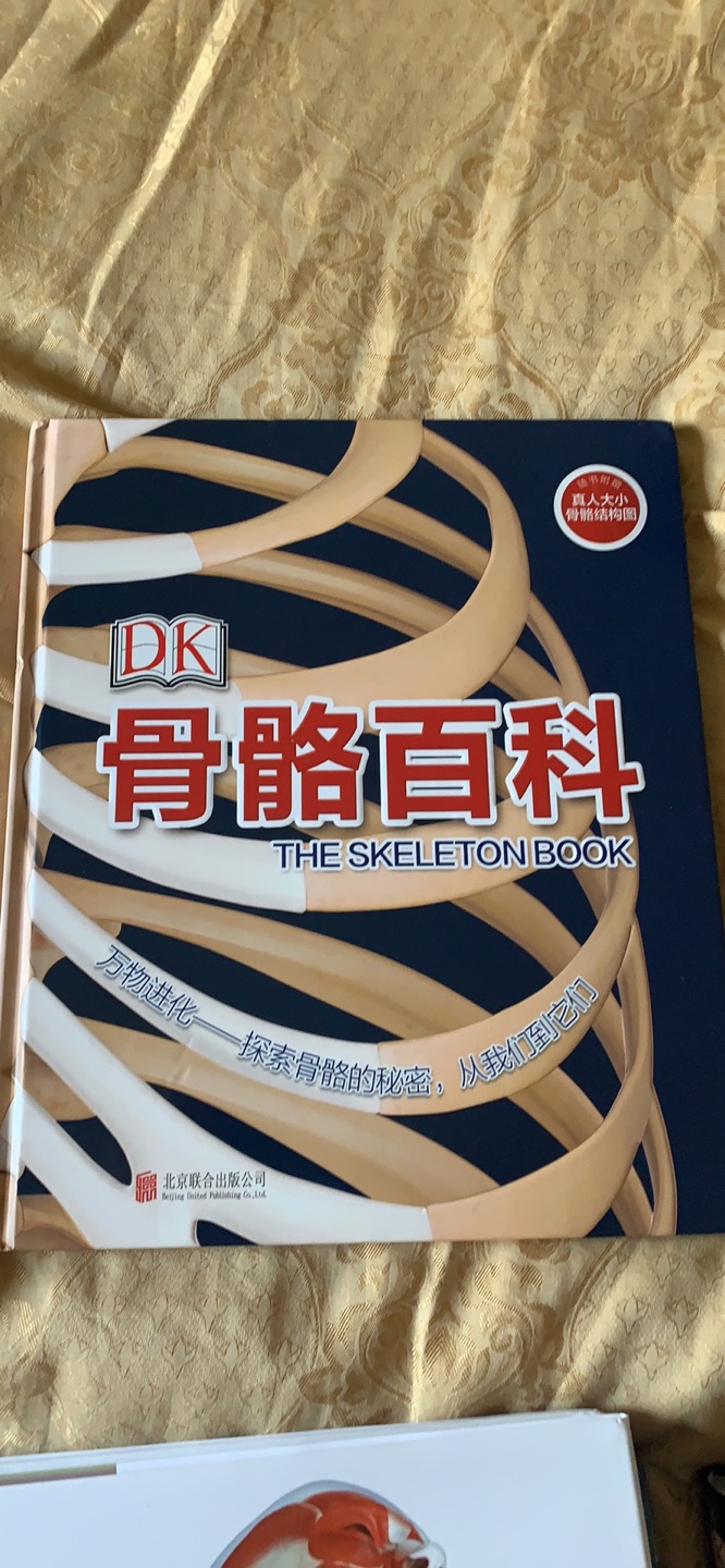 内容简单、基础、实用，价格感人到哭，不给5分对不起观众，谢谢#给的儿童节福利