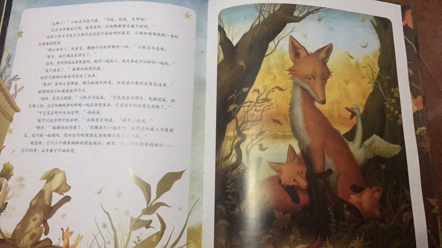 关于狐狸的绘本，不是很多，开本大，色彩明艳，还是第一次买乌克兰作家的绘本，可以亲子，也可以自主阅读，喜欢。