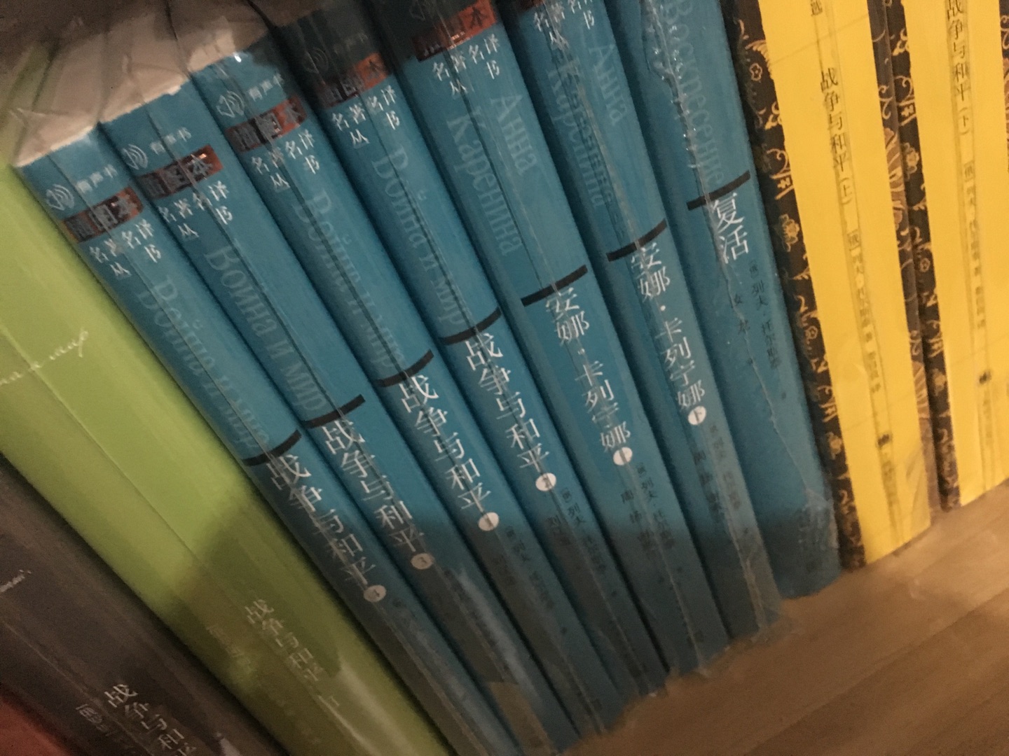 人文社的，经典。本来最理想的是买精装本，可是精装本涉及实在太丑了。没办法买平装的吧。