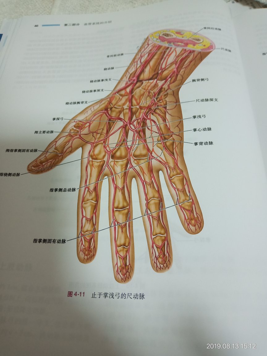 印刷很好，内容通俗易懂，只要用心去看，记在心里，日常工作没问题，昨天下单，今天收到，快递很给力。第一次购物，体验很好。