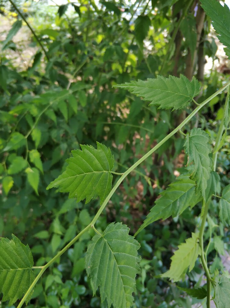 小朋友非常喜欢，爱不释手！希望有很更多的好书和优惠的活动?忘记拍照啦