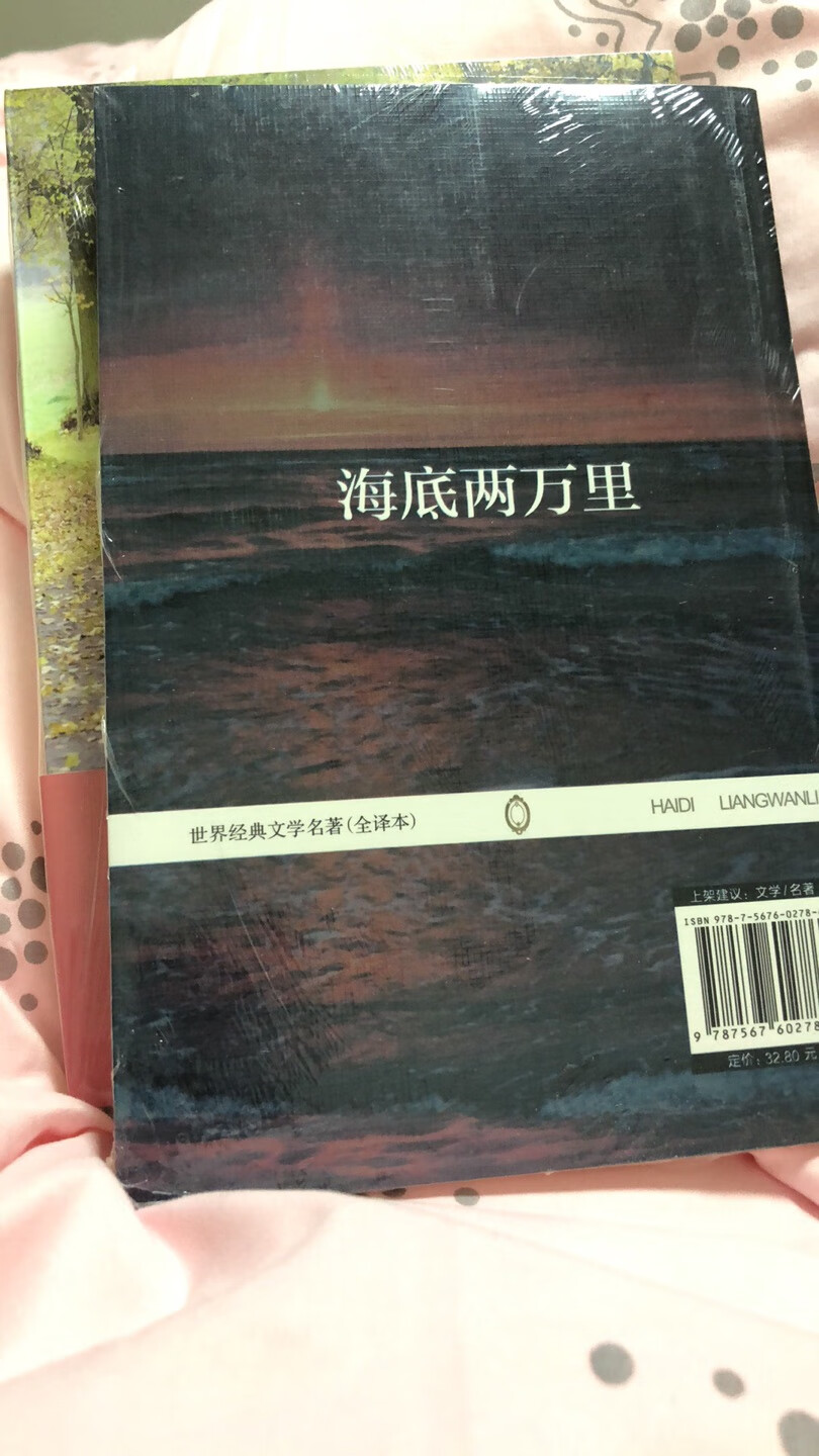 图书搞活动时候买的 简直超值 10本只花了69 活动很良心 都还有开封 若以后读了可以追评 封面很美