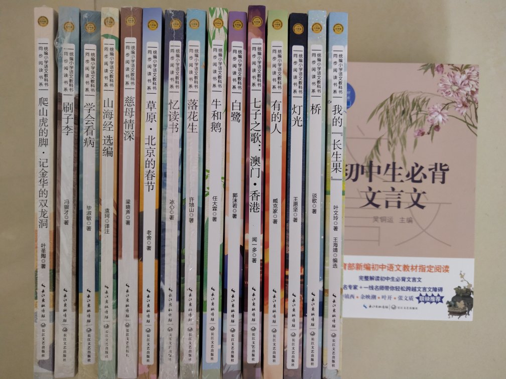 快，长江文艺好书，买一套给小孩放假时看。