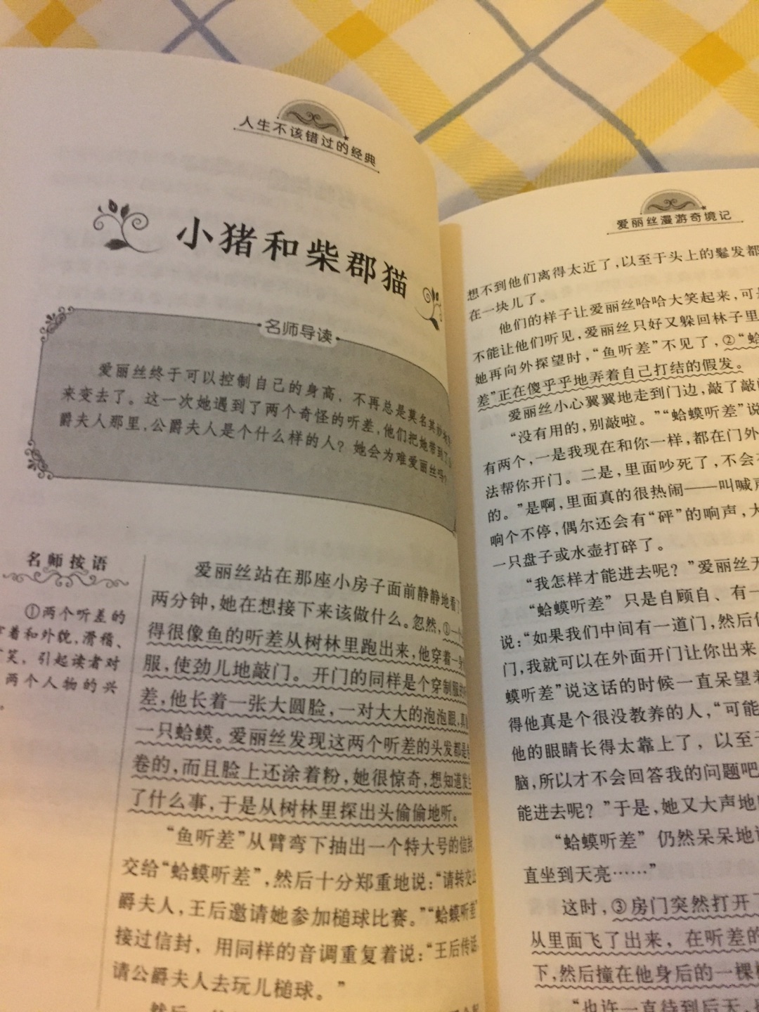 就是给力，价格优惠，送货快，实在太划算了，书的质量也很好，孩子非超喜欢，家里的书都是在买的