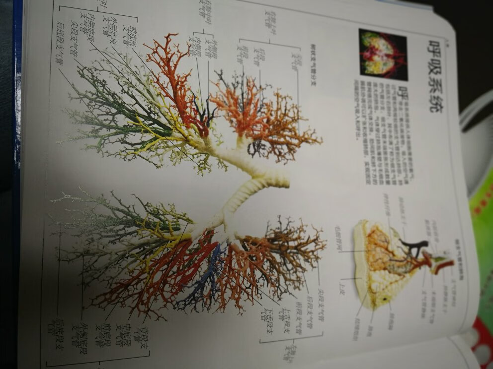 618买了好多书，家里有点放不下了，活动买书很划算啊，送货也很快，都送到家里了，态度挺好的。很厚实的一本，如其名，真的是解万物，解说的很详细，朋友推荐买的一本书，对于小男生来说很有吸引力，虽然年纪没达到，慢慢讲，简单的讲，也能接受的