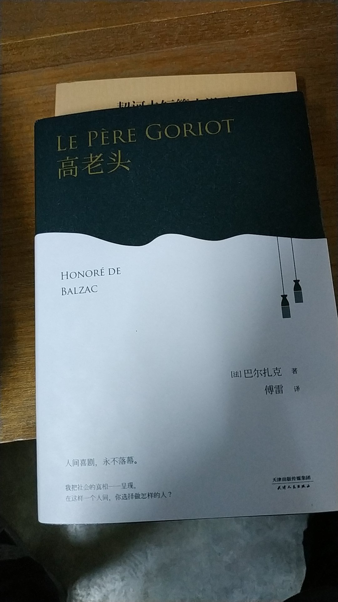 大师的书，送货速度很快非常好非常棒