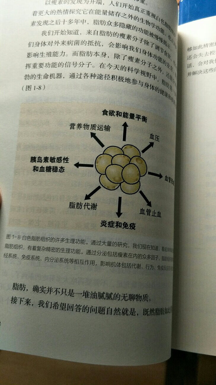 很不错的一本书，里面有彩图，对生物学知识的讲解也挺有趣的。