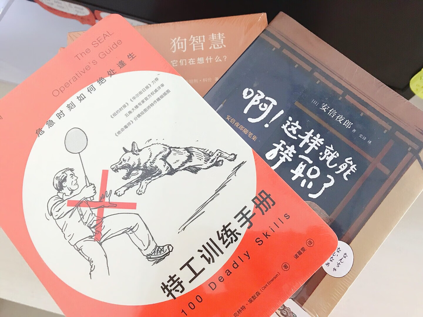 双十一不买书好像就跟没过双十一一样，600块钱的书199到手也是很爽了（感谢朕的抢劵神手）