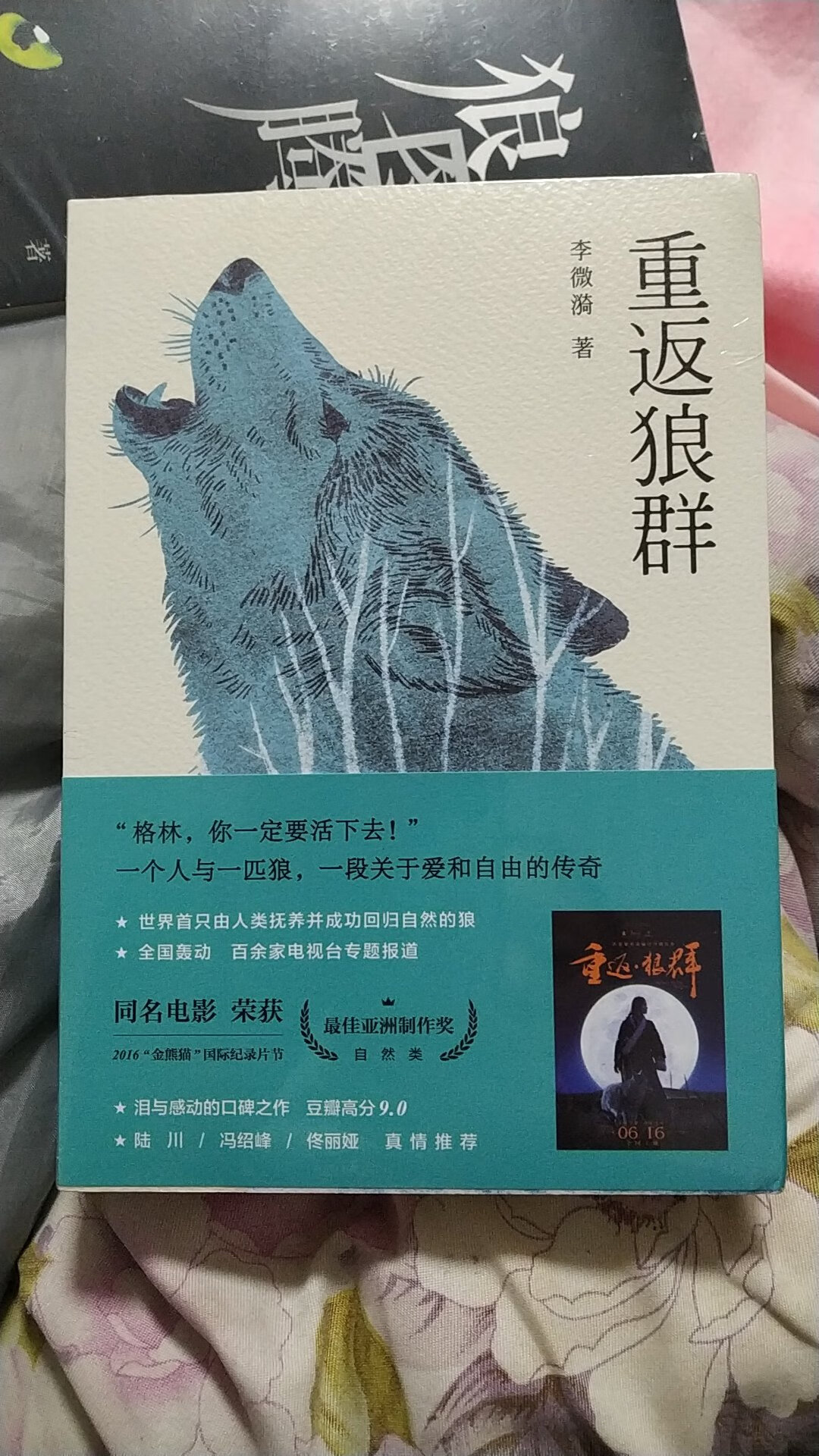 《重返狼群》讲的是一个人和一匹狼的故事，一支由人类抚养的狼，是如何成功的回归大自然