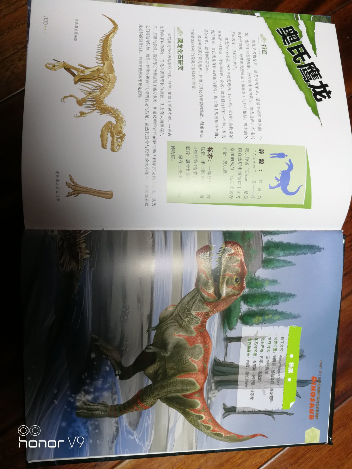 头天下单，第二天就到了，果然速度很快！拿到这本书，感觉赚到了，又大又厚一本，算彩页，铜版纸，太划算了。再说内容，这本书是我见过的介绍恐龙最全的书了，感觉像是恐龙界的新华字典，基本上2页介绍一种恐龙，一共有338页，160多种恐龙，我都惊讶考古家们怎么从一堆堆骨头里，编出那么多名字。喜欢恐龙的小读者看这本书肯定会大呼过瘾，可以在小朋友面前显摆了。当个恐龙知识的小专家都不难，这本书真的非常好，值得买。