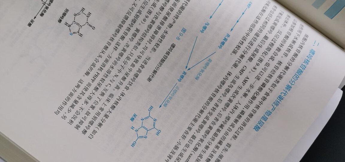 到了一本盗版的书，纸张质量极差，却卖出了正版书的价钱。而且书的最后一页被折损，没有塑料薄膜包装，只有的塑料袋