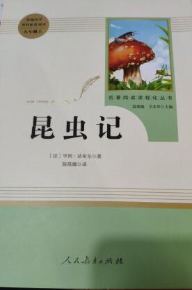 除了给孩子看自己也可以再学习学习，印刷很好