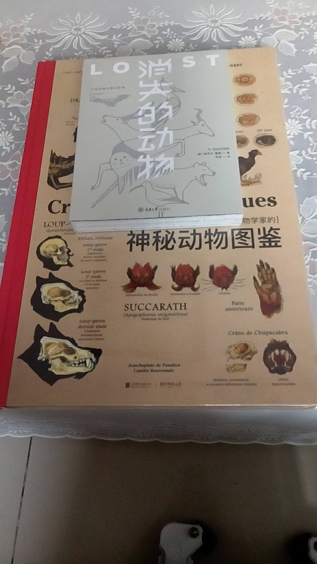 图片精美，知识性，趣味性都很好，。