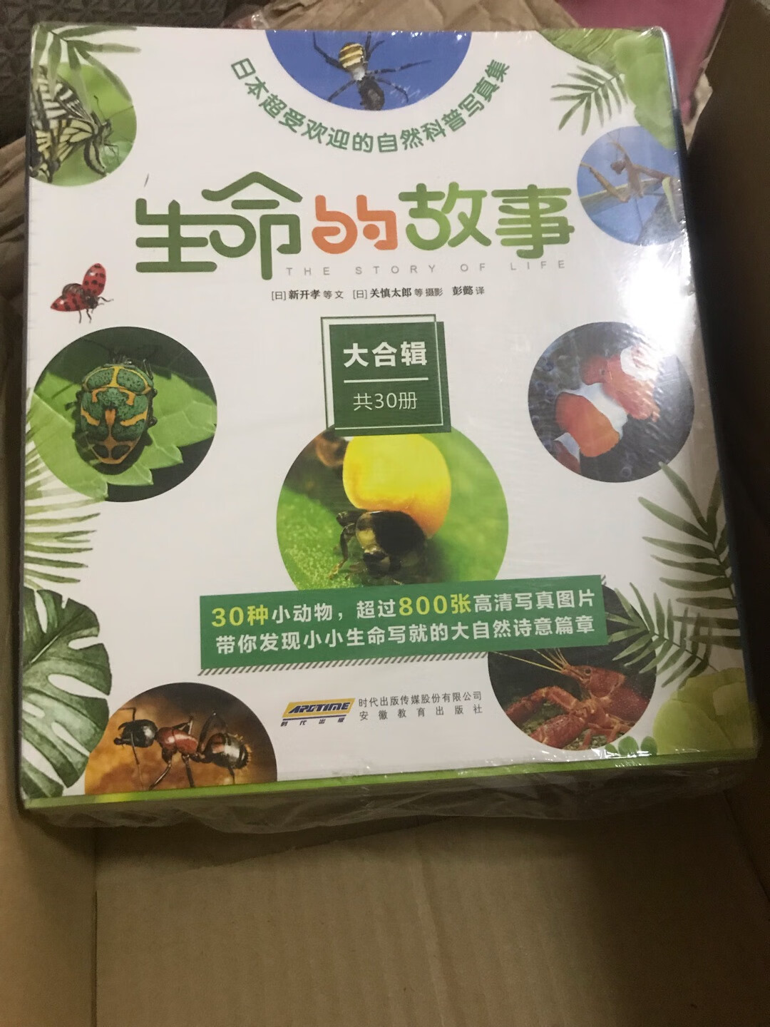 帮朋友买了一套，不是最划算的时候买的，书也没有想象的厚，每本很薄，不过图真的很漂亮