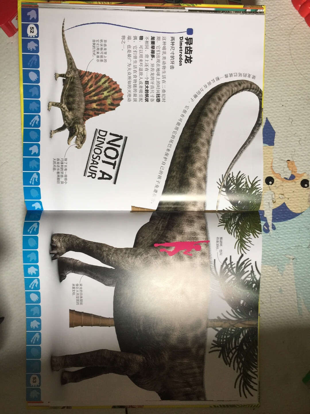 儿子很喜欢恐龙。这本是看别人推荐买的。可儿子却不太喜欢。里面的很多恐龙图片单页是不完整的，会转在第二页上 等他再大一点看吧