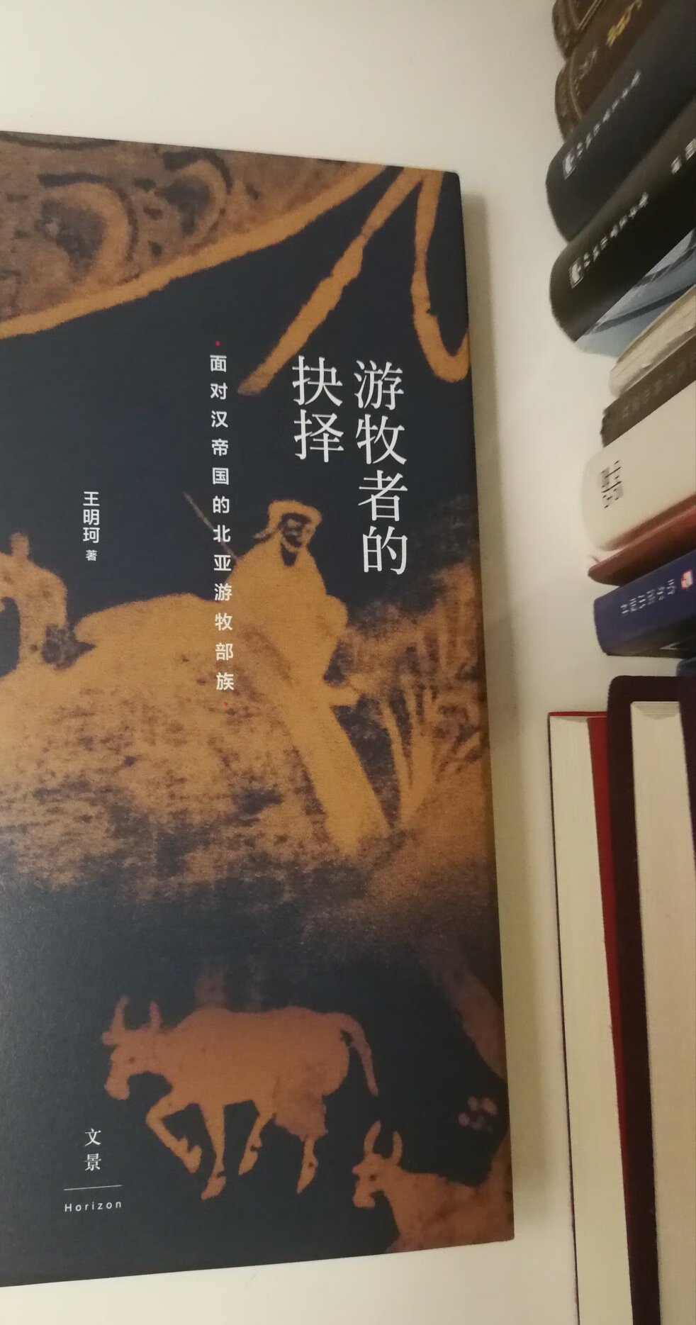 内容细致，对了解汉代中国与北方游牧民族的活动历史很有帮助。