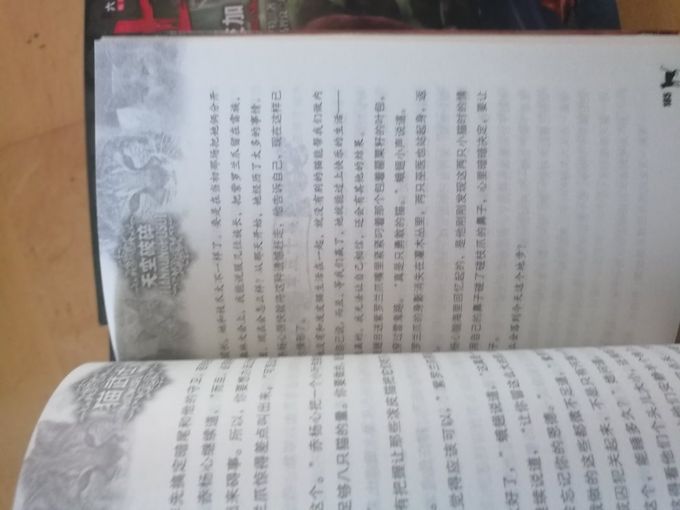 猫武士这套书充分证明了一个好的出版社的重要性。无论书的质量和翻译的水平。中国少年儿童出版社大品牌值得信赖。这套书孩子都很喜欢。