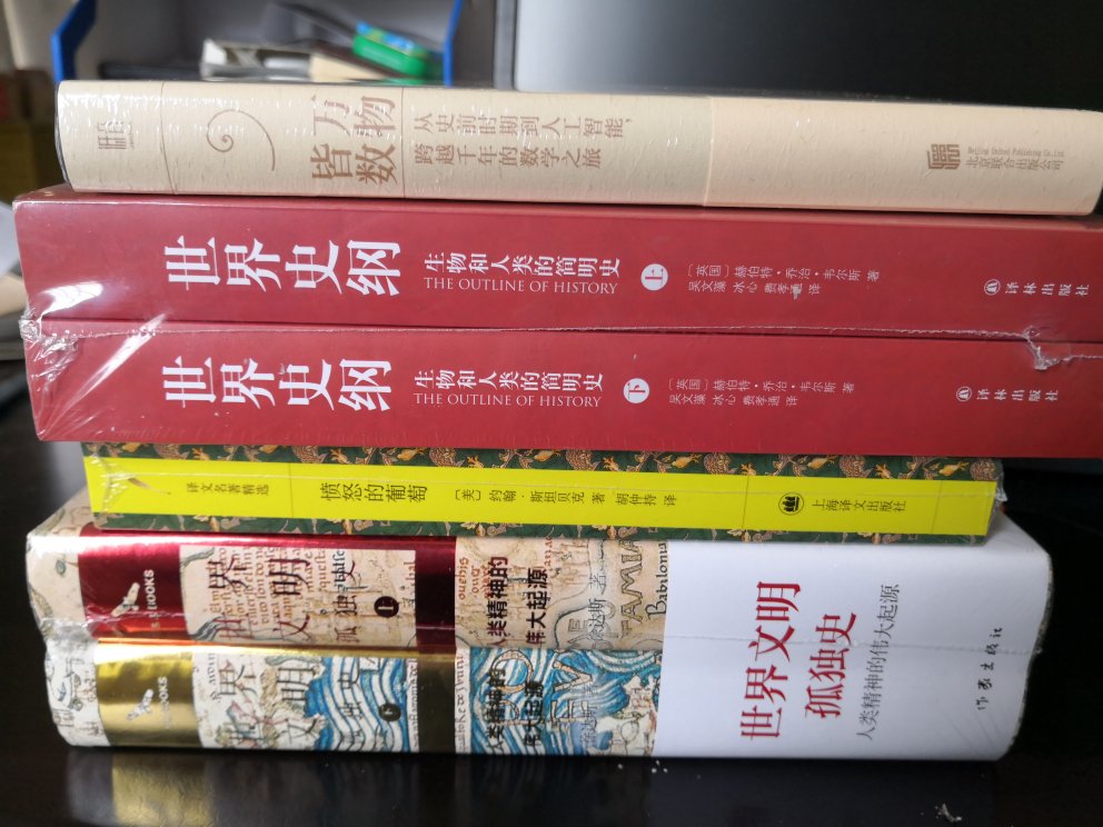 大名鼎鼎的著作，收下了，上海译文的书质量很好。