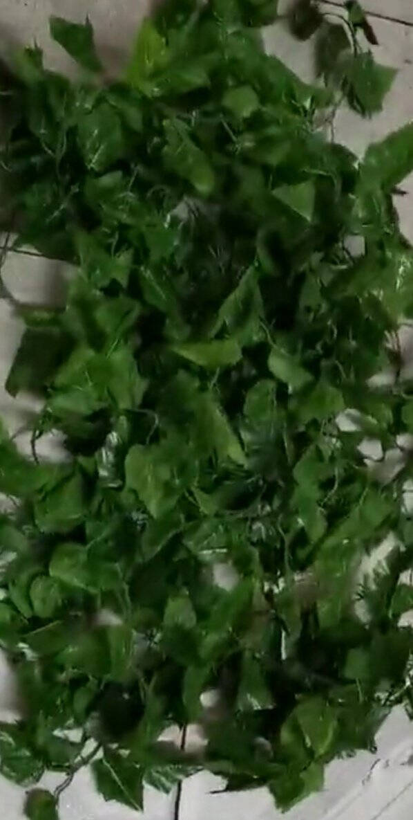 迪茵DIYIN仿真藤条假花葡萄叶树叶绿叶植物吊顶装饰管道塑料藤蔓缠绕花藤遮挡装饰品90片加密葡萄叶5条装