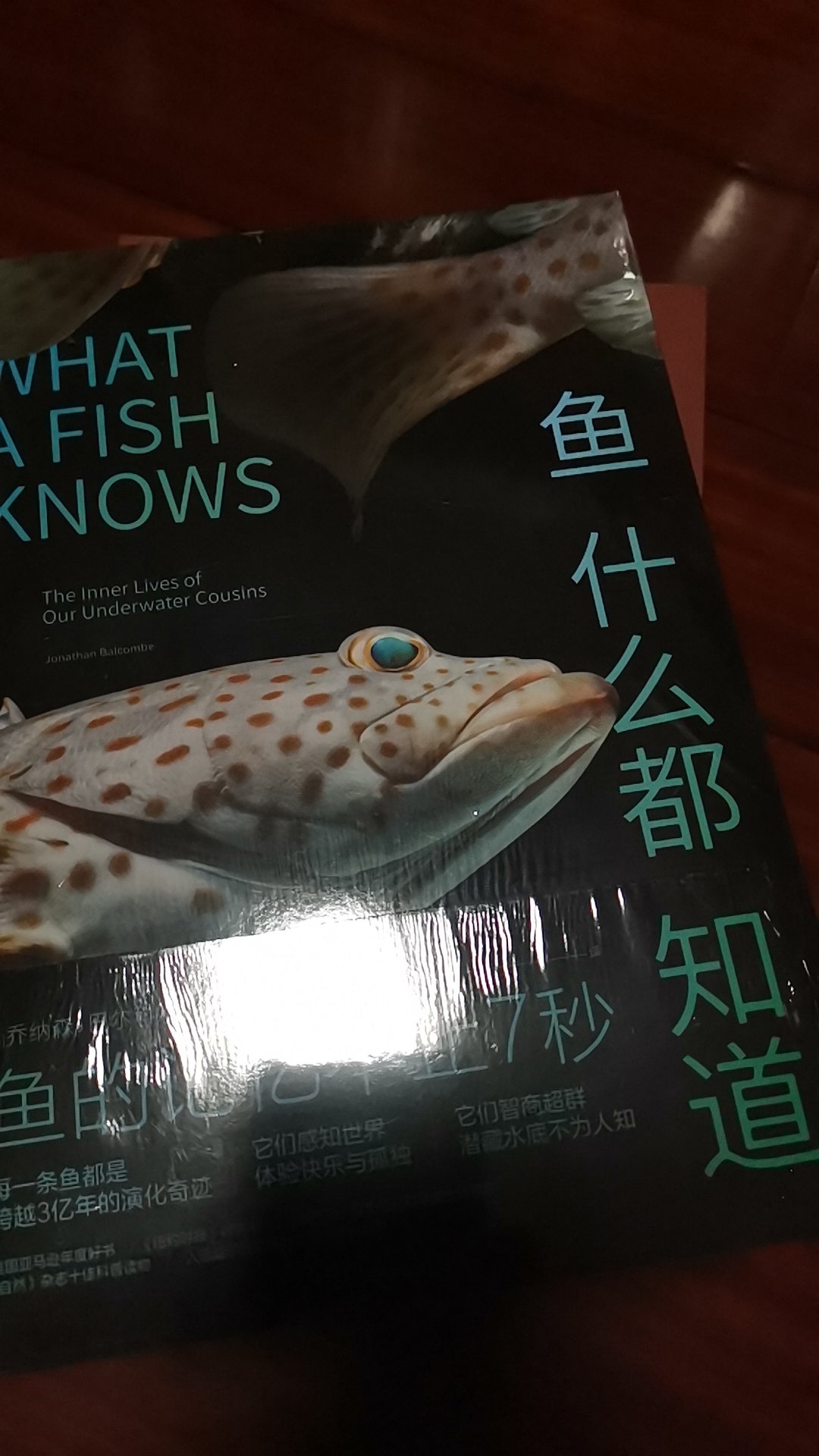 都说鱼只有几秒钟的记忆，这本书是来翻案的。