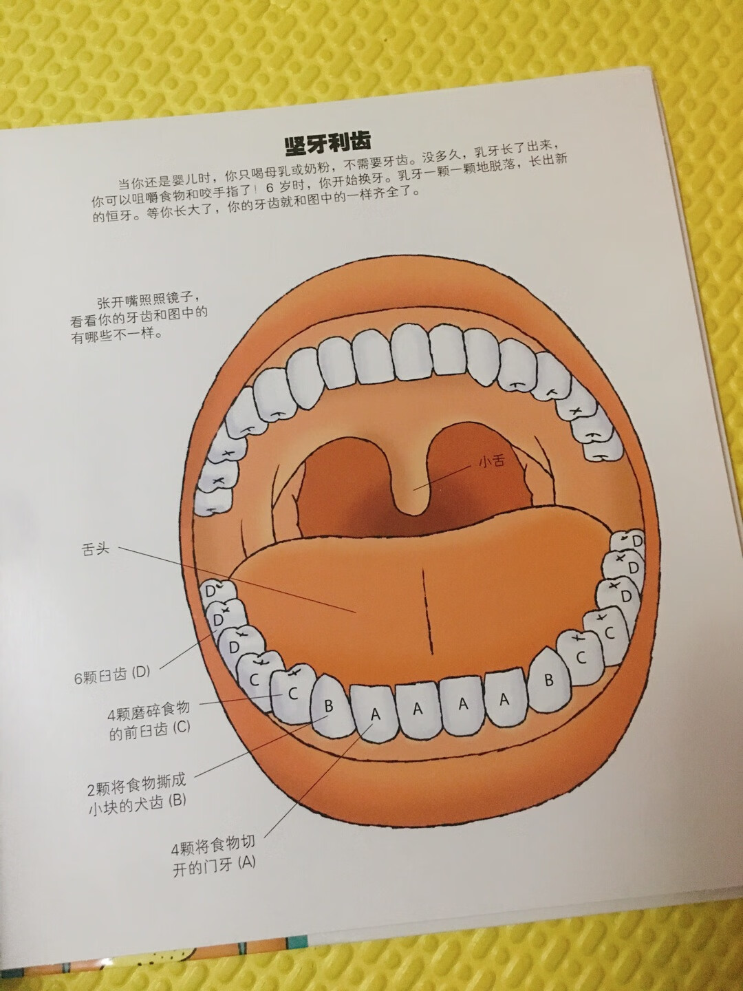 内容很形象生动，机关也设计的很有趣，是本不错的科普书！