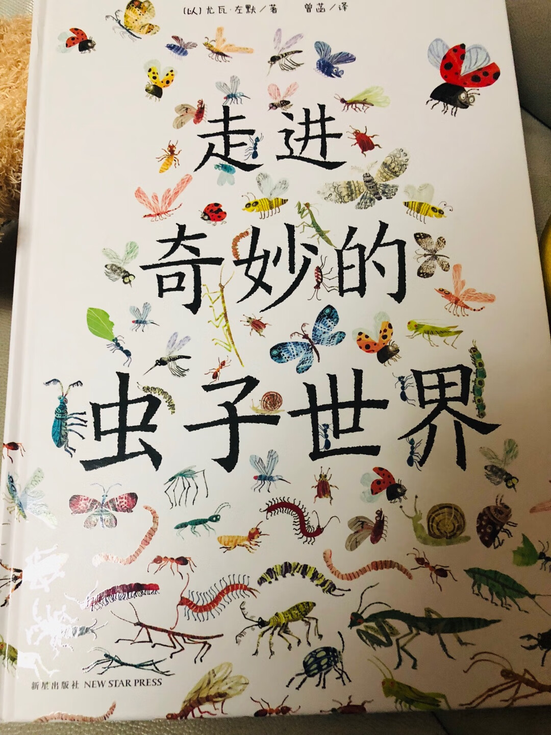 好美的虫子科普书，英文版也想入。