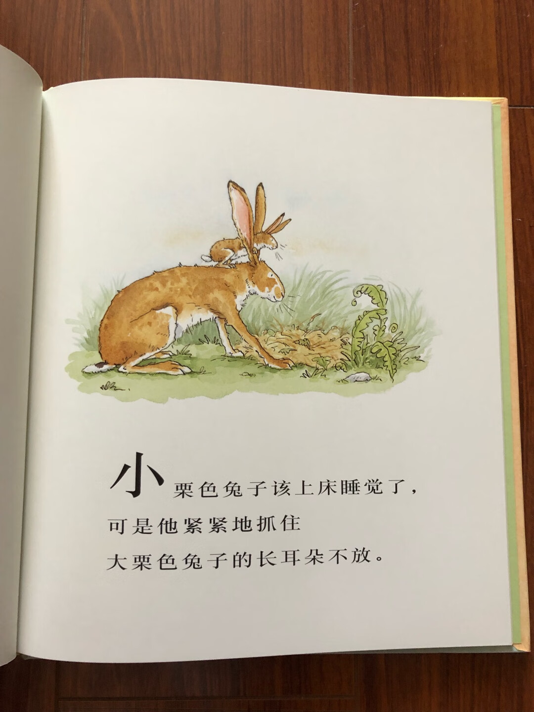 非常经典的一本书，大开本，字迹大，图片和内容都很好，三岁左右的孩子很喜欢。