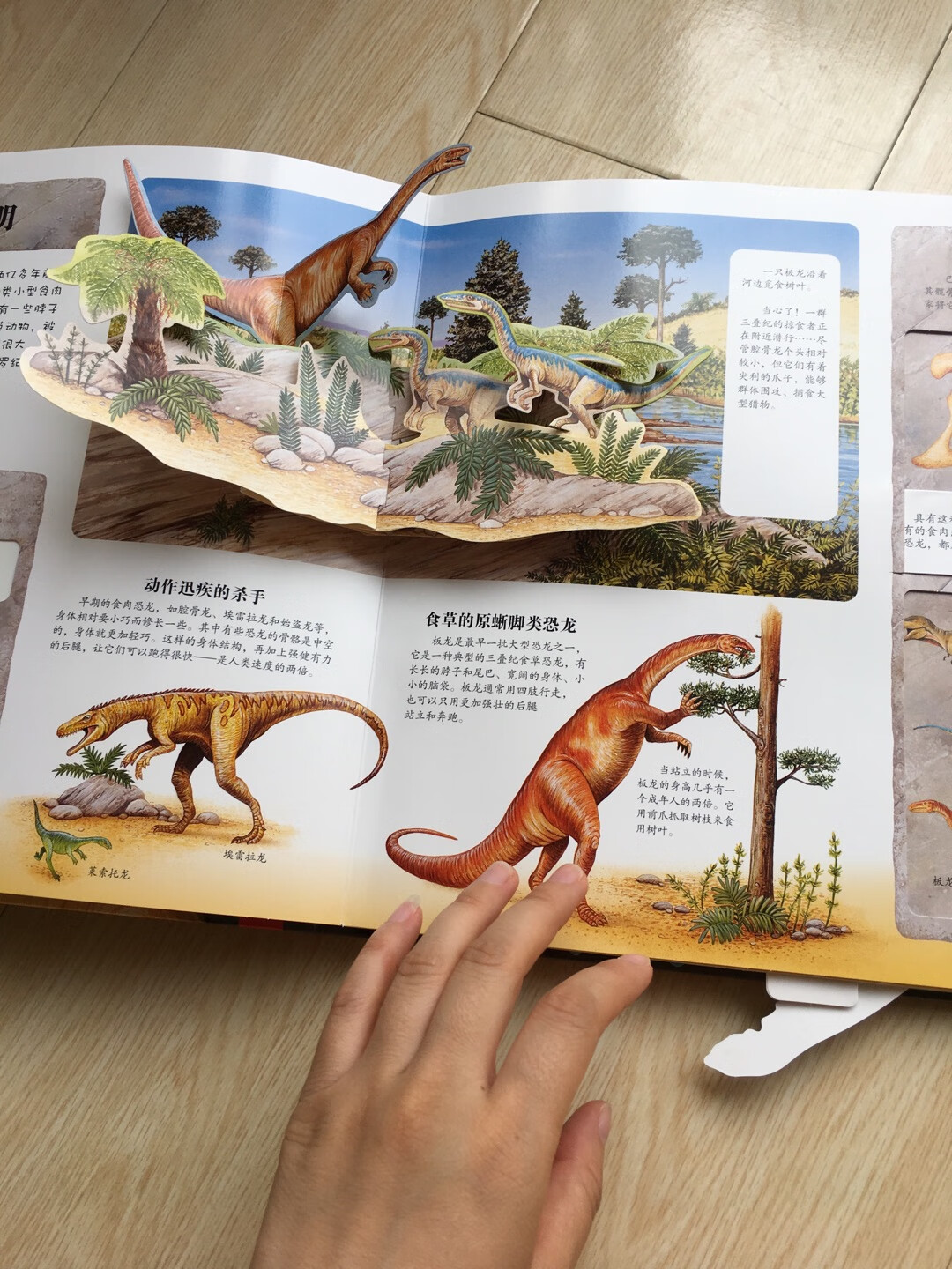 这是买的恐龙绘本中，设计最为巧妙的，也特别生动，宝贝每天都要拿出来看几遍