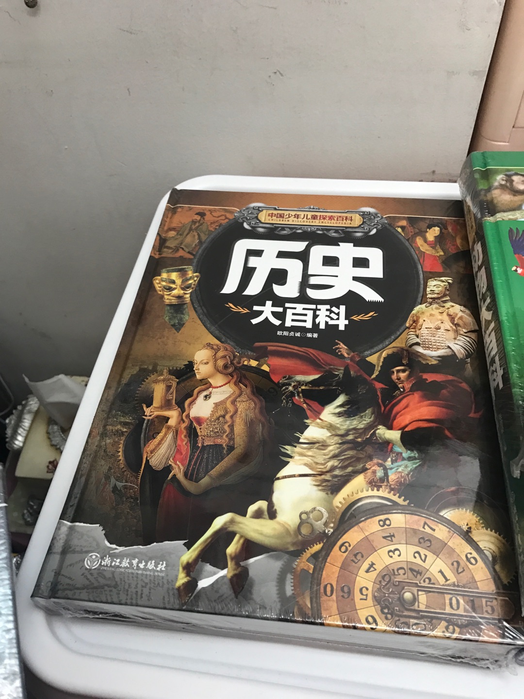????中国少年儿童探索百科 历史大百科 一套全部买下来了，没一本都非常厚实，里面全彩页质量非常好。