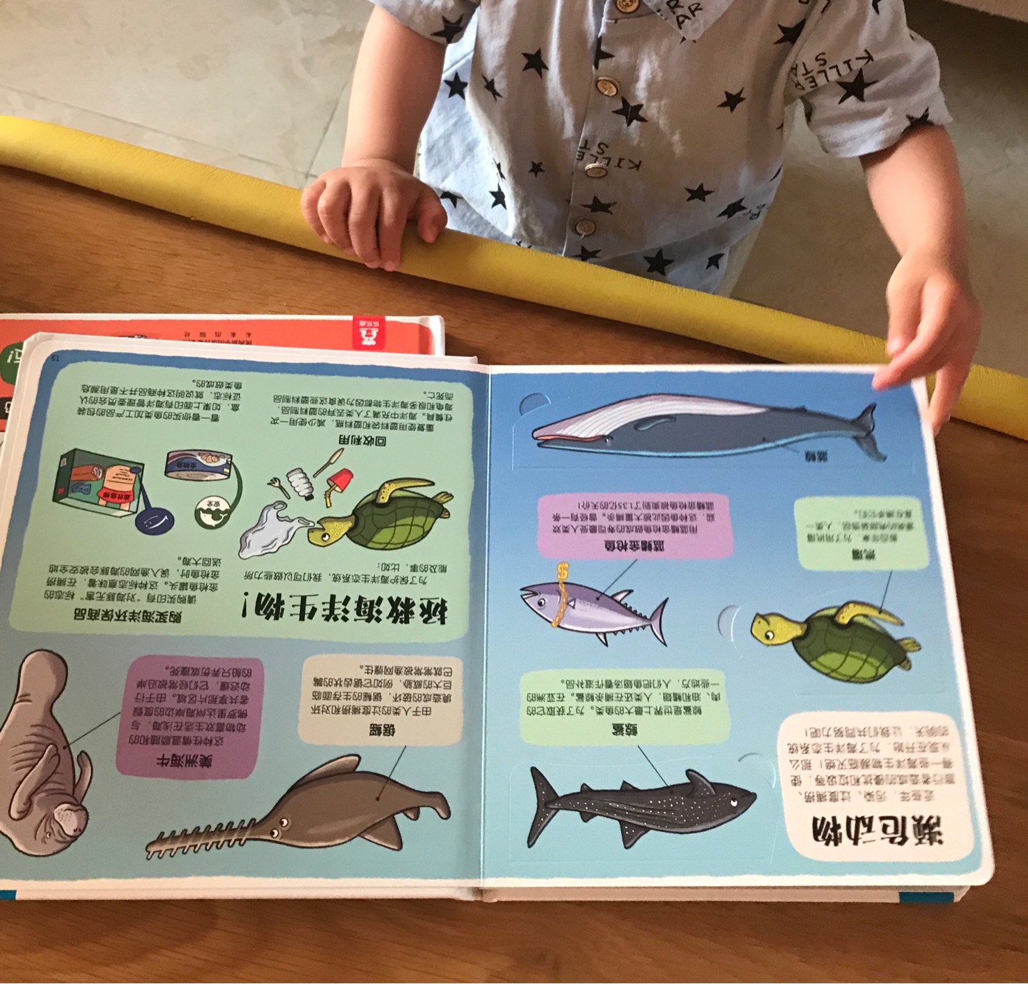 宝宝最近爱上鱼类，书本很好，纸质印刷都不错，宝宝爱看