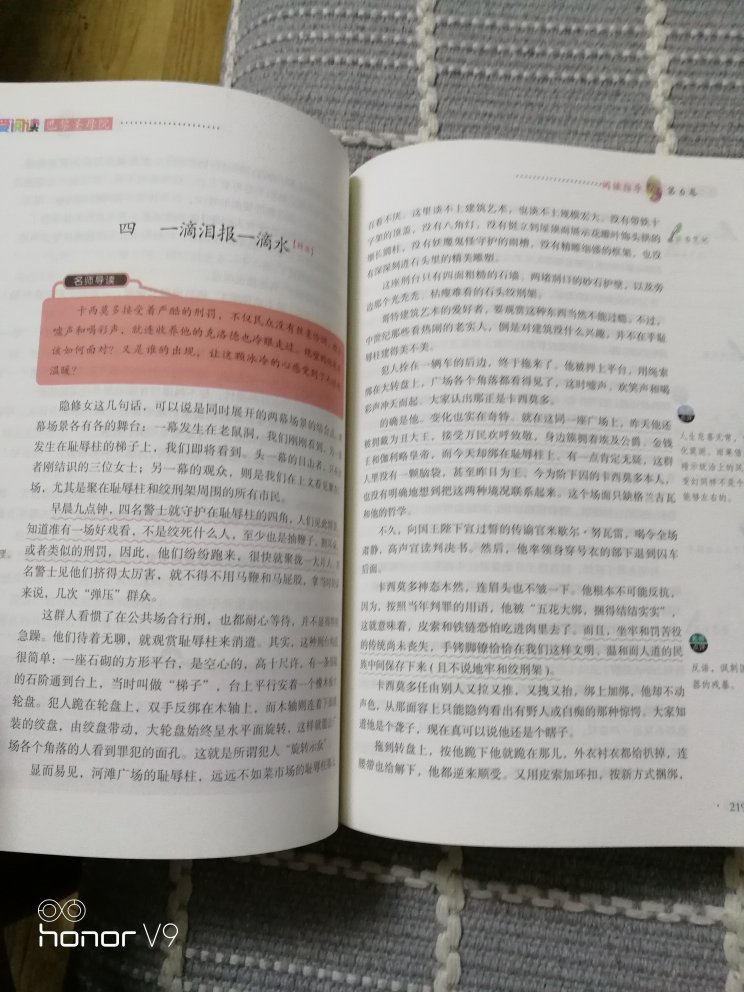 有名师导读这点不错，可以帮助孩子理解！这个假期应该补充精神食粮！